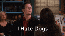 I Hate Dogs Dogs GIF - I Hate Dogs Dogs Chandler Bing GIFs