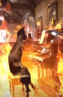 a goat is playing a piano with flames behind it