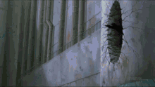 a crow is flying through a hole in a wall that says activate windows