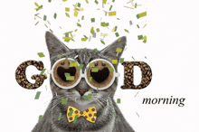 a cat wearing sunglasses and a bow tie is surrounded by the word good morning