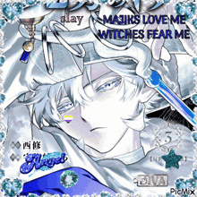 a picture of a witch with the words majiks love me witches fear me