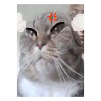 a pixel art of a cat with an angry expression