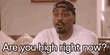 You High GIF - Are You High Right Now Are You High High GIFs