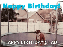 Dog Happy Birthday GIF - Dog Happy Birthday Jump GIFs