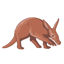 aardvark antbear