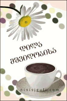 a cup of coffee sits on a saucer with the website ninisjgufi.com written below it