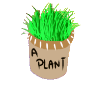 Plant Plants Sticker - Plant Plants Flower Stickers