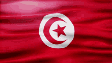 tunisia flag gif africa