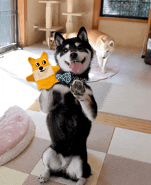 a black and white dog is holding a yellow puppet with a fox face on it