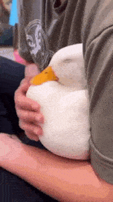 Hug Duck GIF - Hug Duck Happy GIFs
