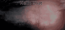 Hello Chat Mind Flayer Has Joined The Chat GIF