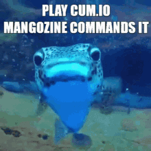 Cumio Mangozine GIF - Cumio Mangozine Mangozine Commands GIFs