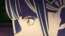a close up of a girl 's face with a purple haircut