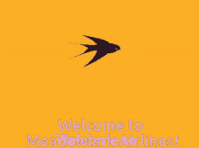 Meadowlark Welcome To Meadowlark Airlines GIF