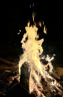 a fire is burning in the dark and looks like a statue