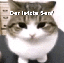 a cat with the words der letzte senf written above it