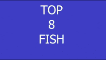 Fish Top 8 GIF - Fish Top 8 Top Fish GIFs
