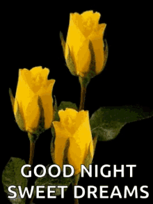 good night sweet dreams sparkles tulips yellow flowers