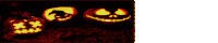 three carved pumpkins are lit up in the dark and one has a skull carved into it