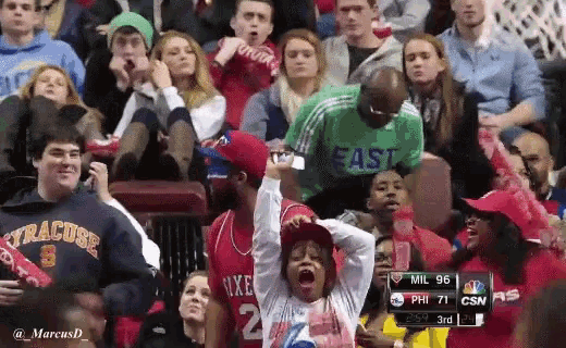 cheering basketball crowd