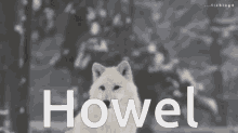 Wolf Howling GIF - Wolf Howling Howel GIFs