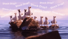 Seagull Boxedup GIF - Seagull Boxedup Shock Drop GIFs