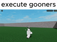 a screen shot of a video game with the words execute gooners above it