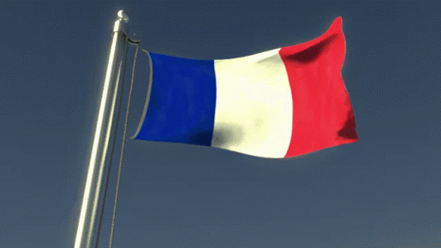 France Flag GIF - France Flag Flag Waver GIFs