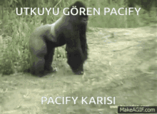 Utku Pacifyutkukari GIF - Utku Pacifyutkukari Karı GIFs
