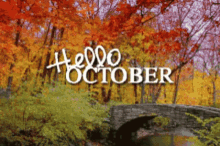 Pumpkin Hello October GIF - Pumpkin Hello October Fall GIFs