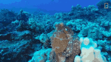 Leaving World Octopus Day GIF - Leaving World Octopus Day Sea GIFs