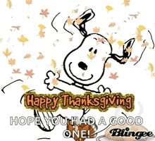 Thanksgivingweek Snoopy GIF - Thanksgivingweek Snoopy GIFs