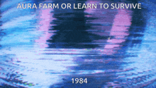 aura farm or learn to survive 1984 is written on a screen