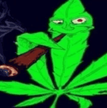 Droga Fumando GIF - Droga Fumando Gracioso GIFs