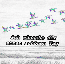 a drawing of ducks flying over a field with the words ich wünsche dir einen schönen tag below them