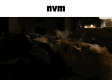 a blurred image of a person with the word nvm above it