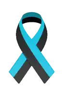 a blue and black ribbon is crossed over itself