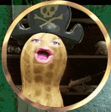 a peanut wearing a pirate hat and making a funny face is in a circle .