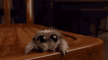 Lucas The Spider GIF - Lucas The Spider GIFs