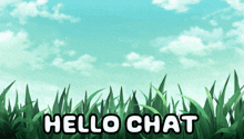 Hello Chat Pokemon GIF - Hello Chat Pokemon Pokemon Legends GIFs