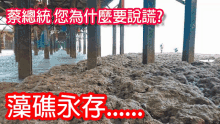 a picture of a pile of rocks with chinese writing on it