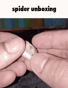 Spider Unboxing Spider GIF - Spider Unboxing Spider Unboxing GIFs
