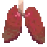 a pixel art illustration of a pair of red lungs .