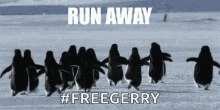 Penguins Run Away GIF - Penguins Run Away Nope GIFs