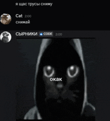 a picture of a cat with a hood on and the words cat 2:00