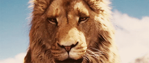 https://media.tenor.com/M_fUTO1dmHQAAAAC/lion-king-leon.gif