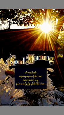 Wake Up Good Morning GIF - Wake Up Good Morning Sun GIFs