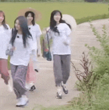 a group of young women are walking down a path in a field .