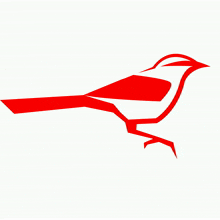 teamcardinalis cardinal bird red esport