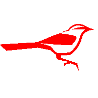 Teamcardinalis Bird Sticker